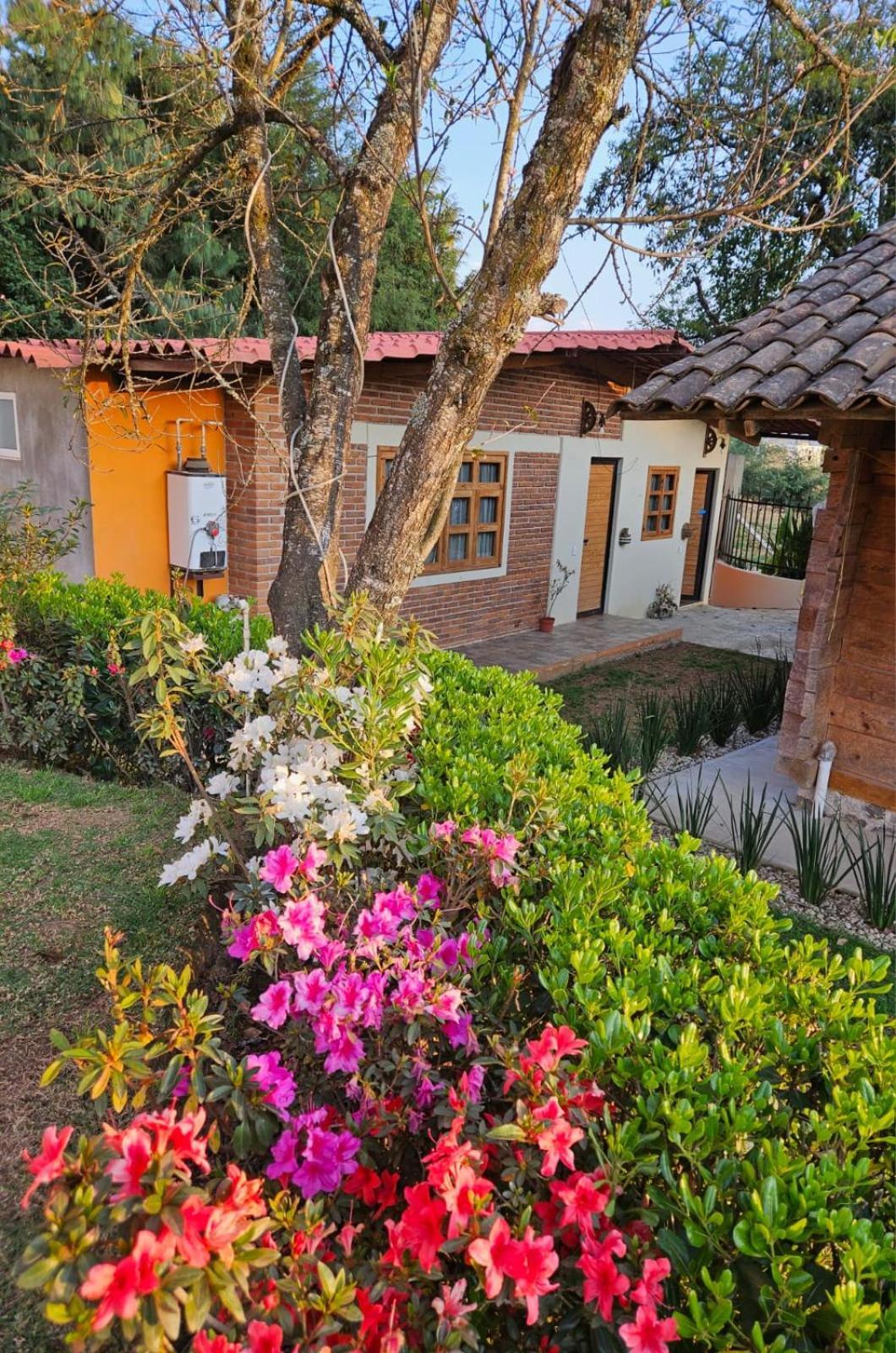 Cabanas En Zacatlan Exterior photo